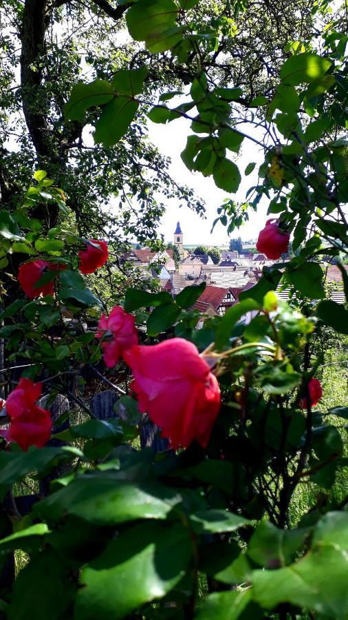 Chambres D'Hotes "La Petite Vallee" Rott Bagian luar foto